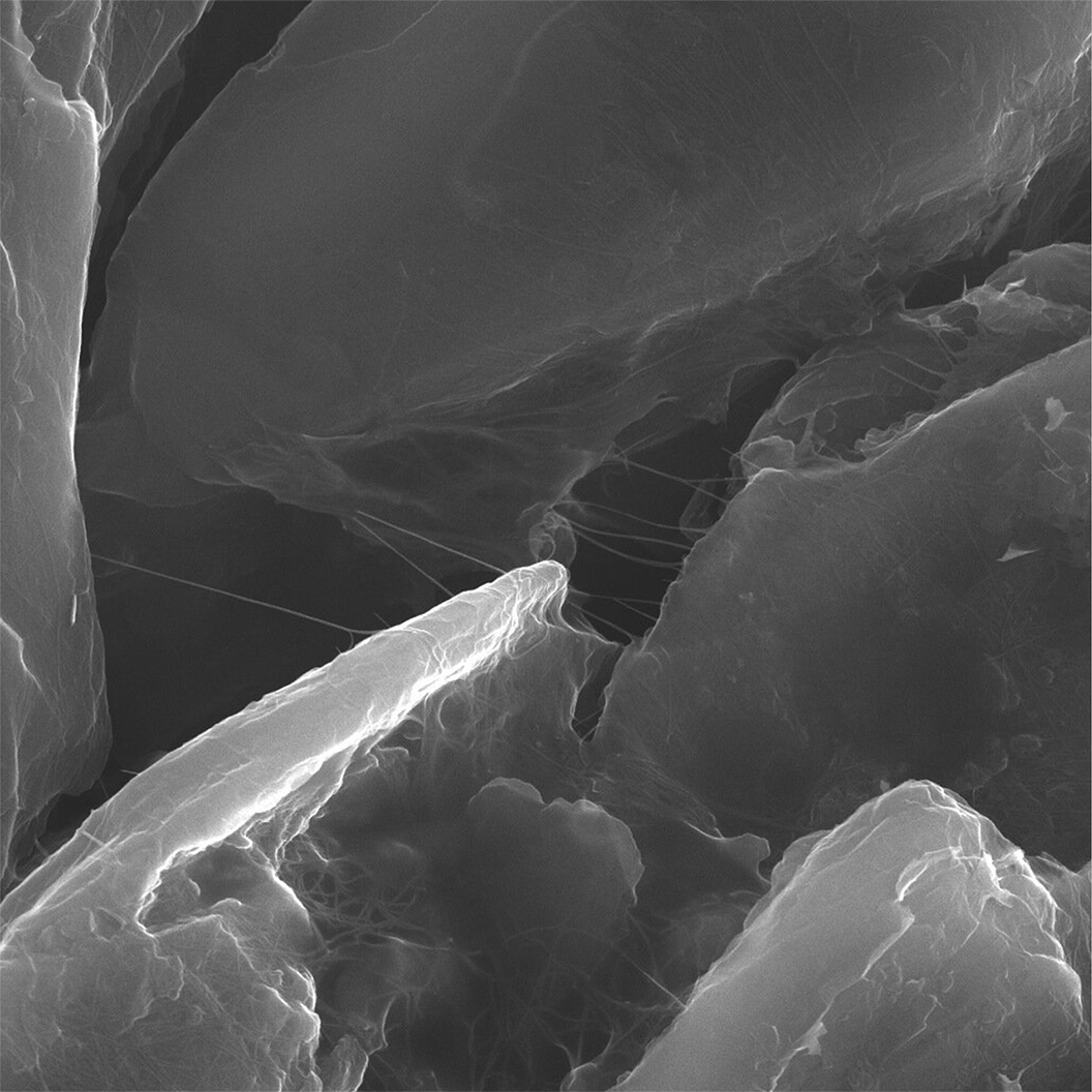 1 µm