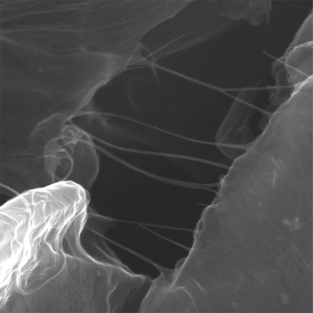 200 nm