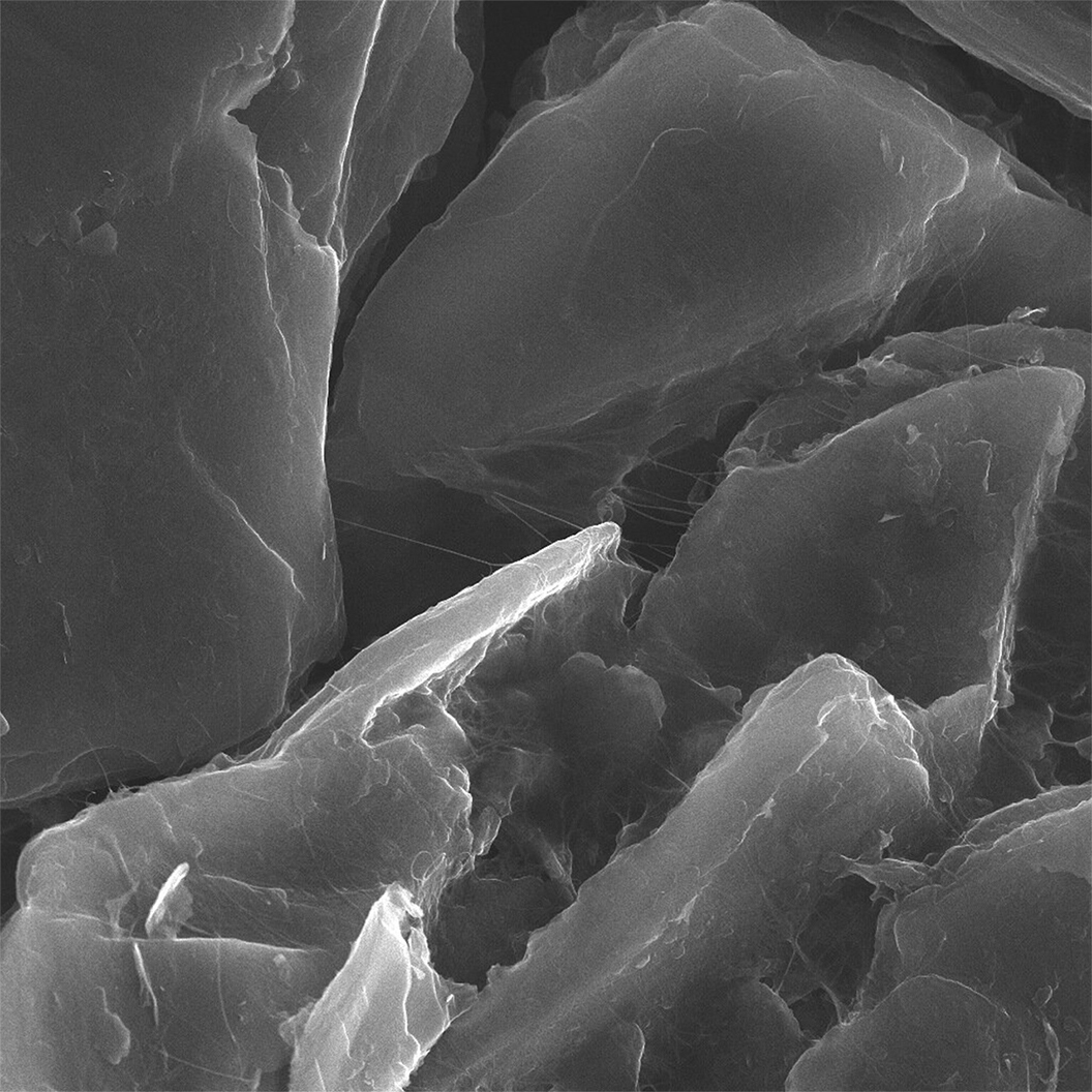 2 µm