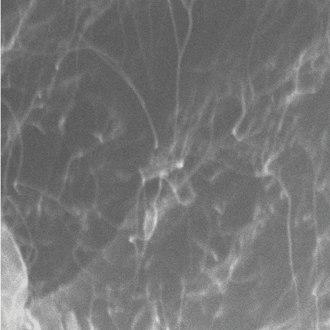 2 µm