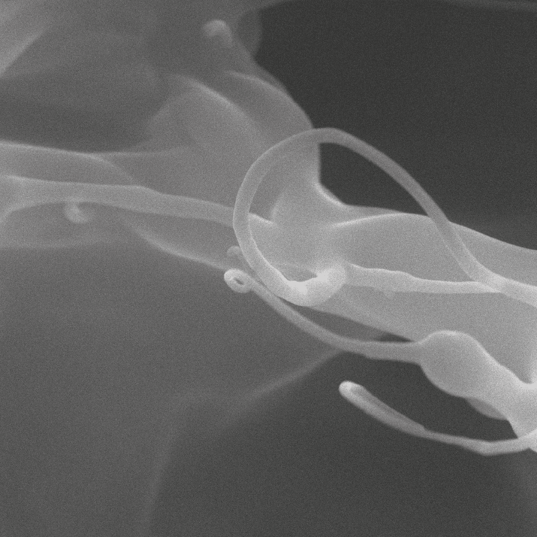 2 µm